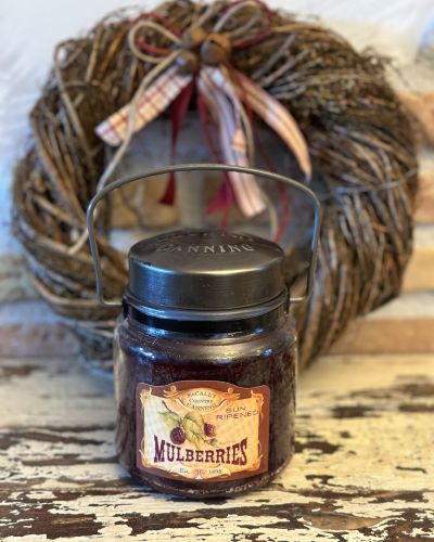 Candela americana “ mulberries “