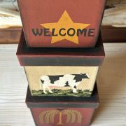 Set da 3 scatole americane country primitive