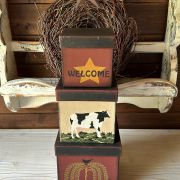 Set da 3 scatole americane country primitive