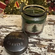 Candela americana “christmas tree”
